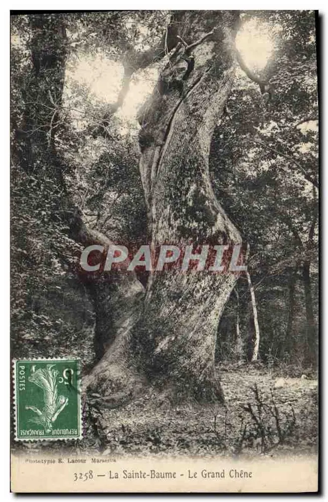 La Sainte-Baume — Der Große Eiche — Phototypie R. Labour Marssetta, n° 3258 - Vorderseite