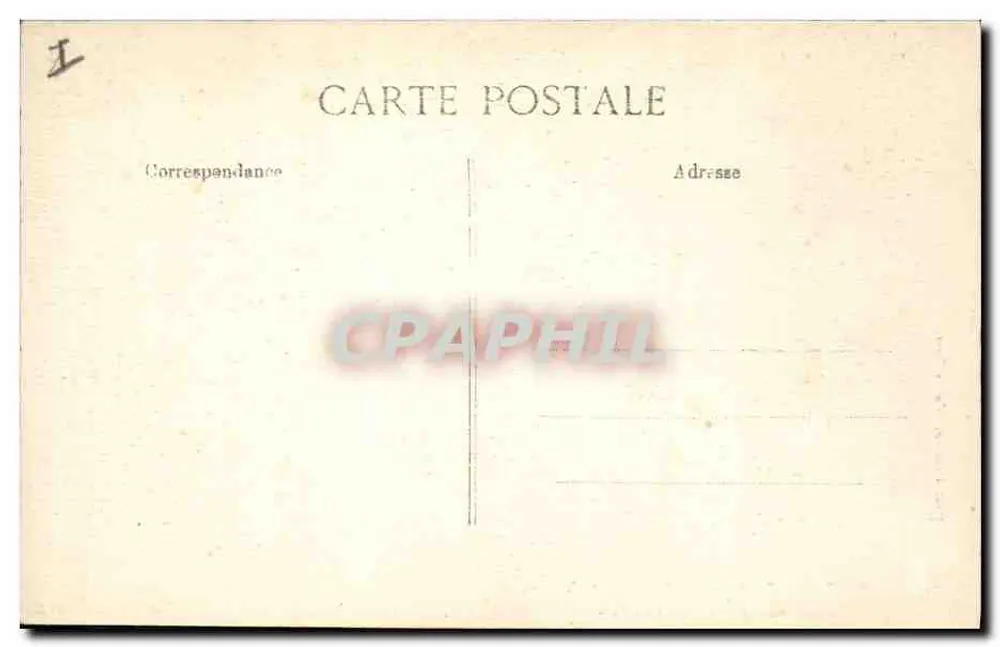 Parasol-Kiefern auf der Straße nach Valescure — Côte d'Azur - Saint-Raphaël — n°113 - Rückseite
