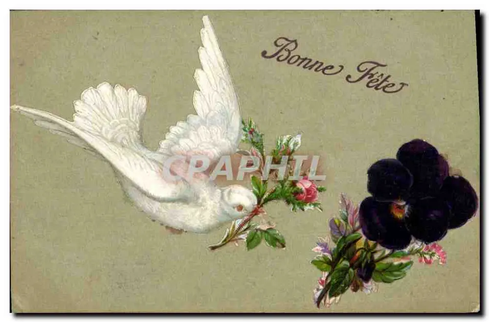 Pomba e flores — Boa Festa — Carta postal - Frente
