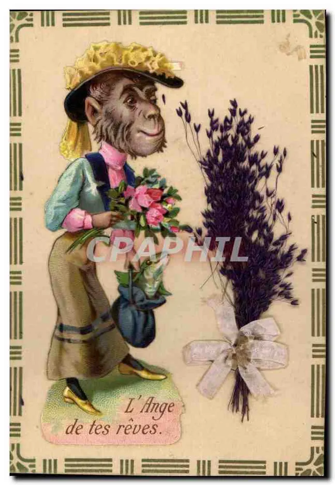 Chimpanzé vestido de forma feminina — O Anjo dos seus sonhos — editor não visível - Frente