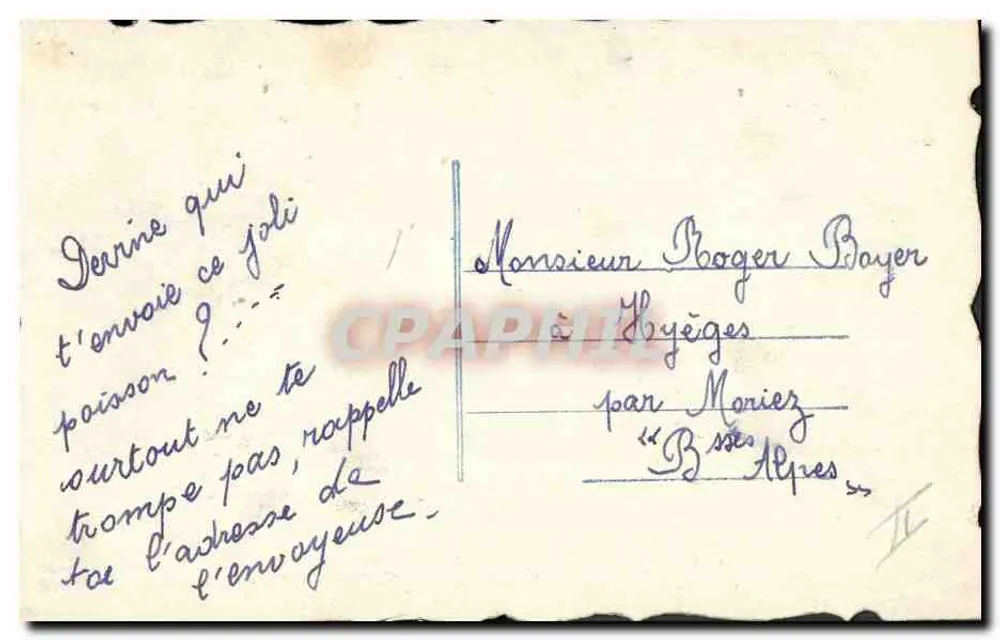 Peixe e flores — carta postal humorística — editor não identificado - Verso
