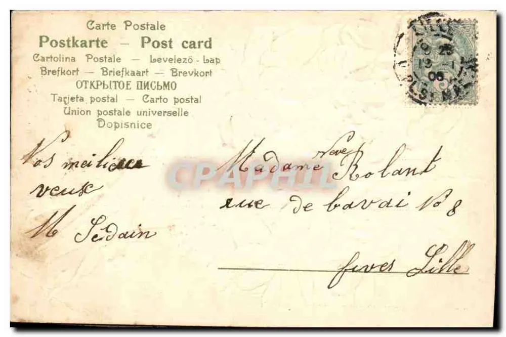 Arranjo de flores — jacintos rosas e narcisos brancos — editor S.E.P.A. n° 1800 - Verso