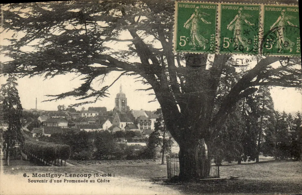 Montigny-Lencoup (S.-et-M.) — Blick auf einen Spaziergang am Zedernbaum — Verlag Chez S. L. Simoxt, Array-S.-et-M. - Vorderseite