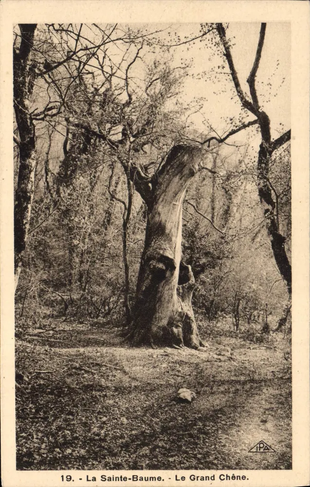 La Sainte-Baume - Der Große Eiche — Verlag: IPA, n°19 - Vorderseite