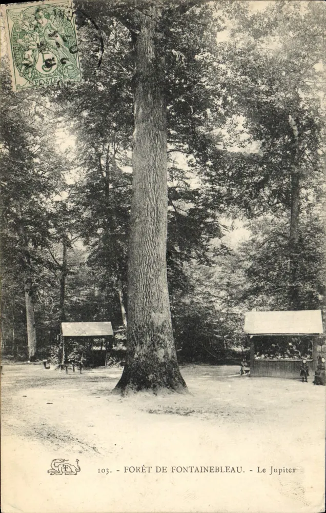 Floresta de Fontainebleau — O Júpiter — editor Júpiter, n° 103 - Frente