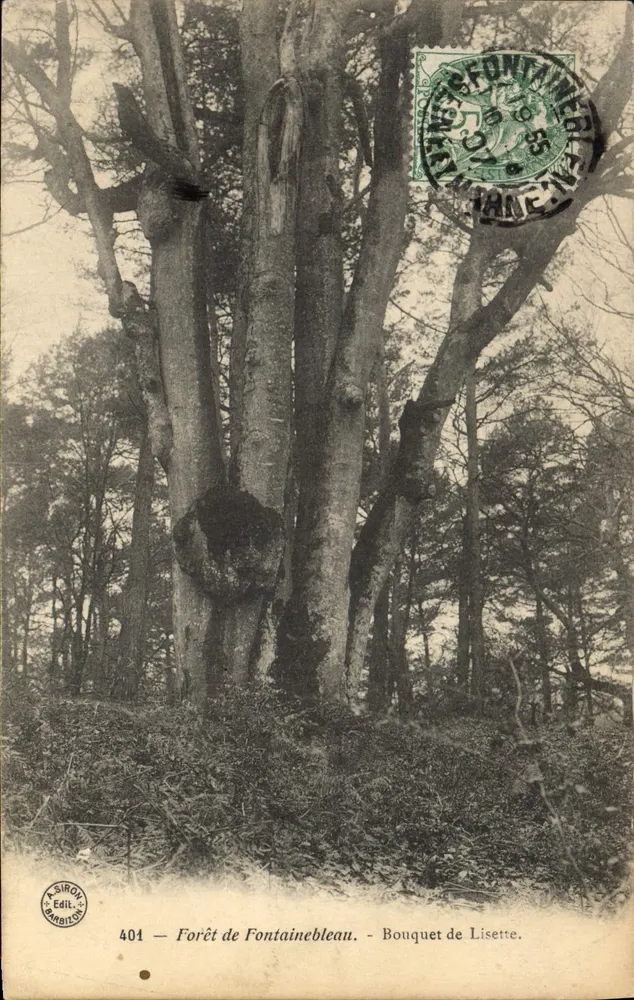 Wald von Fontainebleau — Bouquet de Lisette — Siro & Barbizon, n°401 - Vorderseite