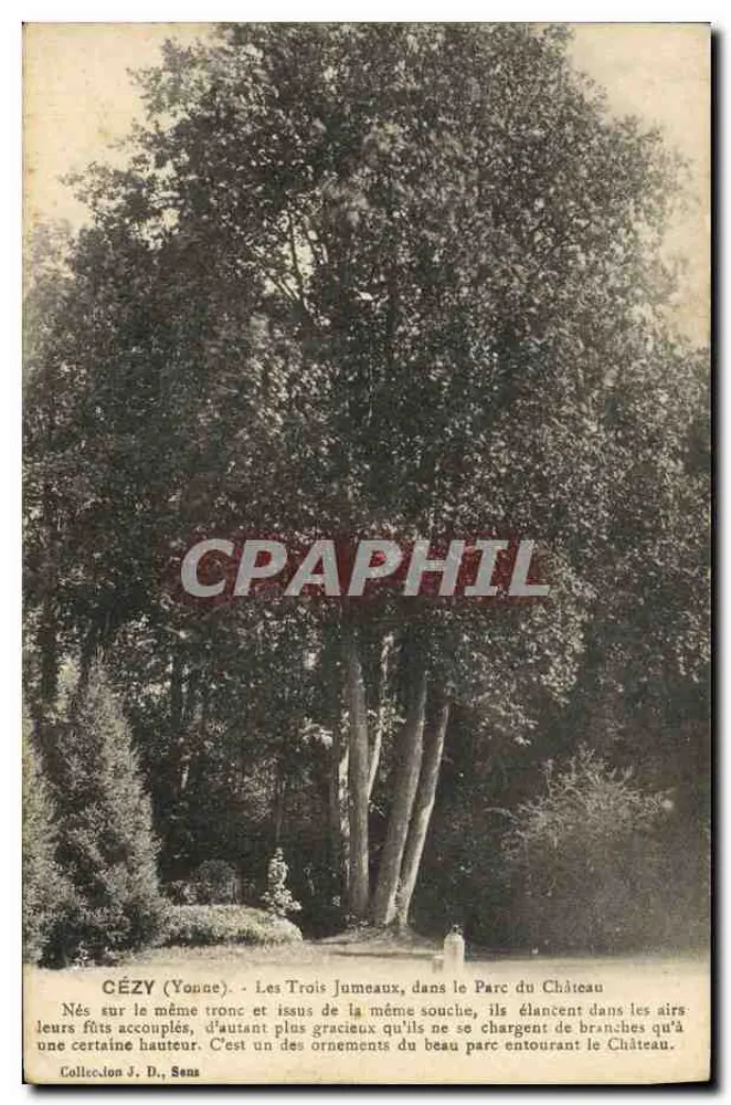Cézy (Yonne) — Die drei Zwillinge im Park des Schlosses — Sammlung J. D., Sens - Vorderseite