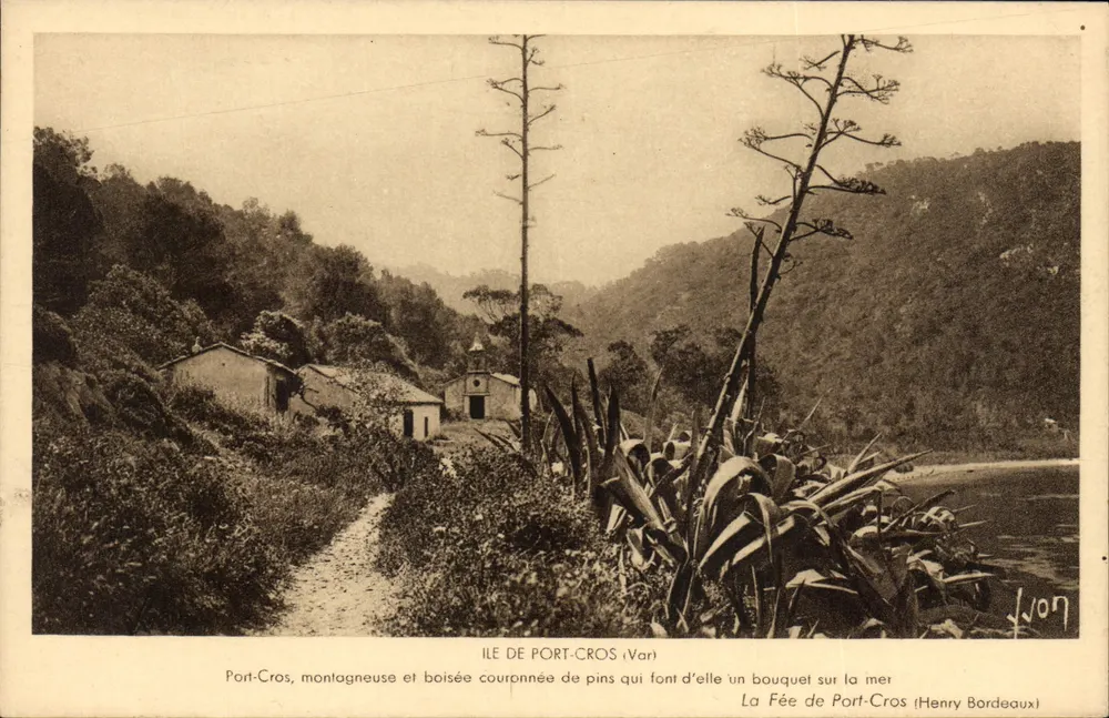 Insel Port-Cros — bergig und bewaldet, gekrönt von Kiefern — Henry Bordeaux - Vorderseite