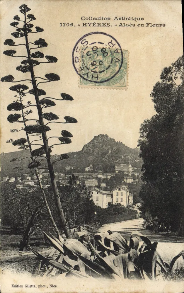 Aloés em Flores — Hyères — Edição Giletta, fot., Nice - Frente