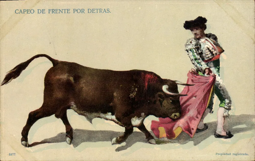 Stier vorne von hinten — Stierkampfszene — unbekannter Verlag, Nr. 5877 - Vorderseite