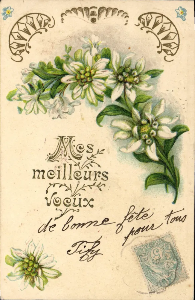 Flores de Edelweiss — Boas festas — editor não visível - Frente