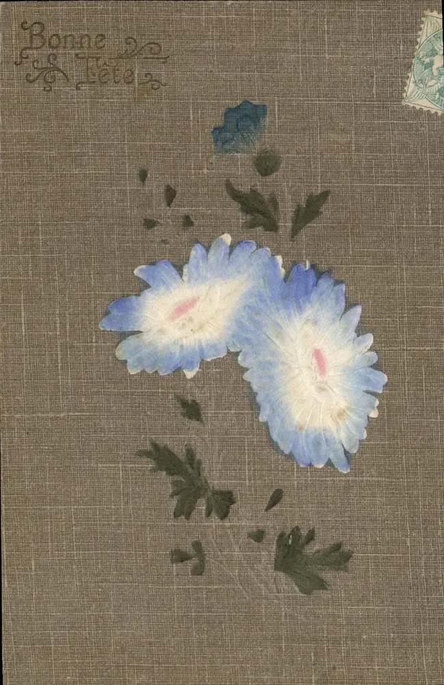 Flores azuis — Bom Dia — União Postal Universal - Frente