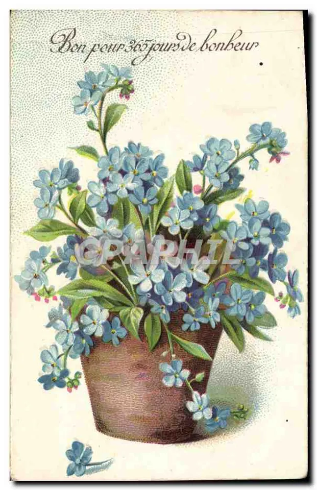 Arranjo de myosotis — Válido por 365 dias de felicidade — editor não visível - Frente