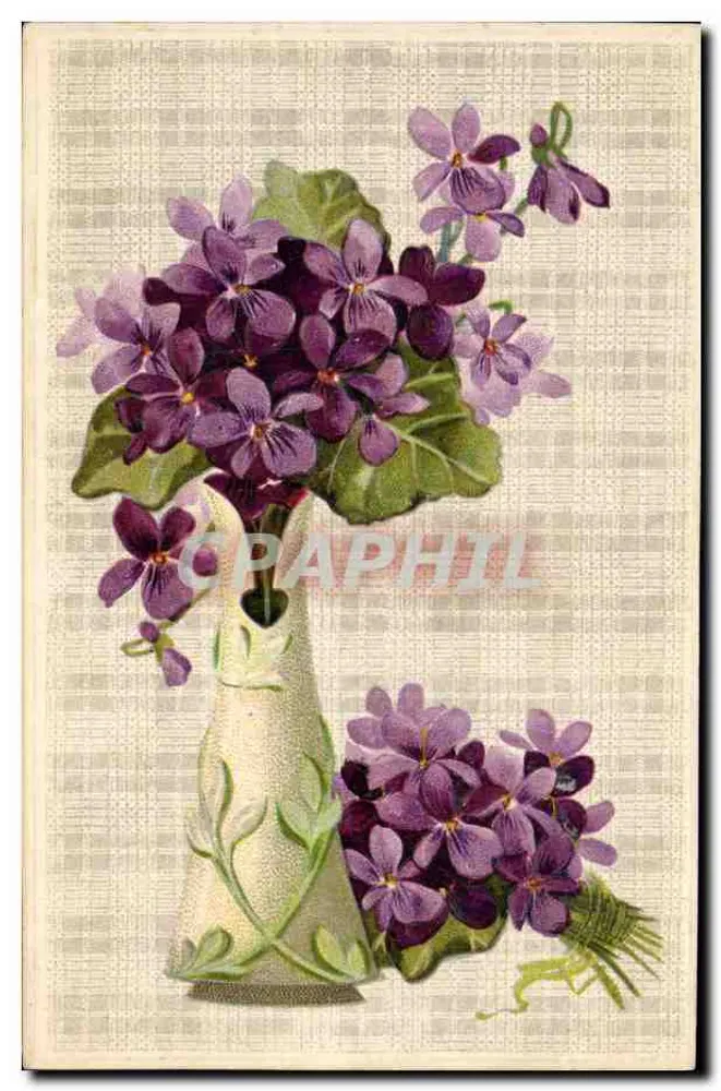 Violetas em um vaso — ilustração botânica — editor desconhecido - Frente
