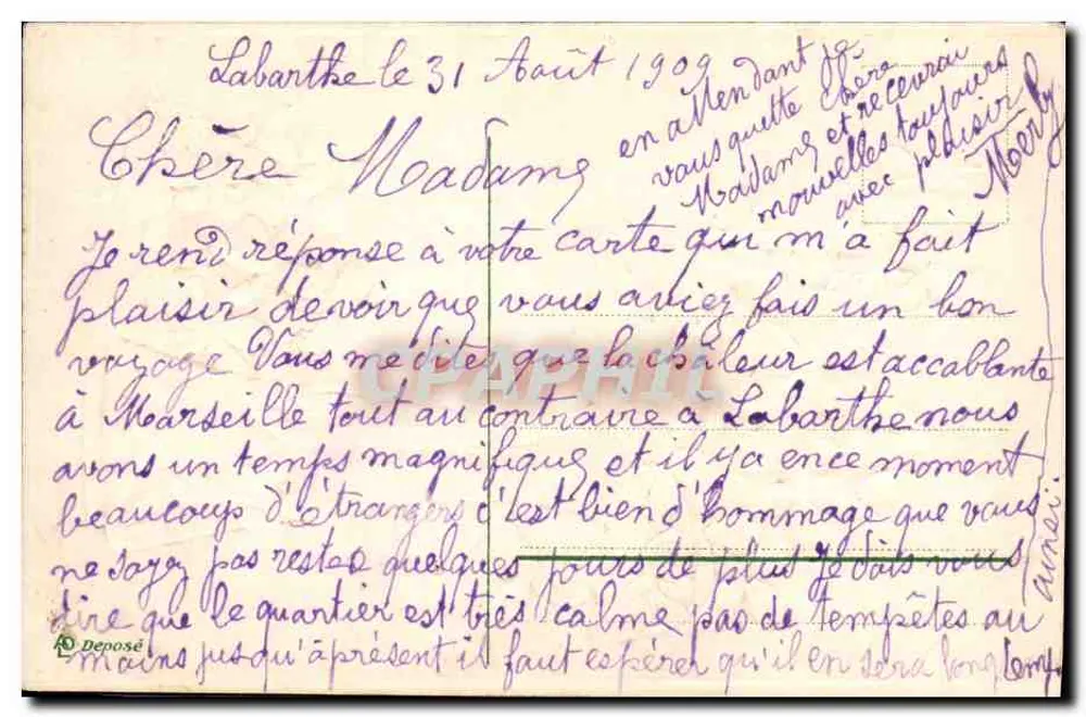 Violetas em um vaso — ilustração botânica — editor desconhecido - Verso