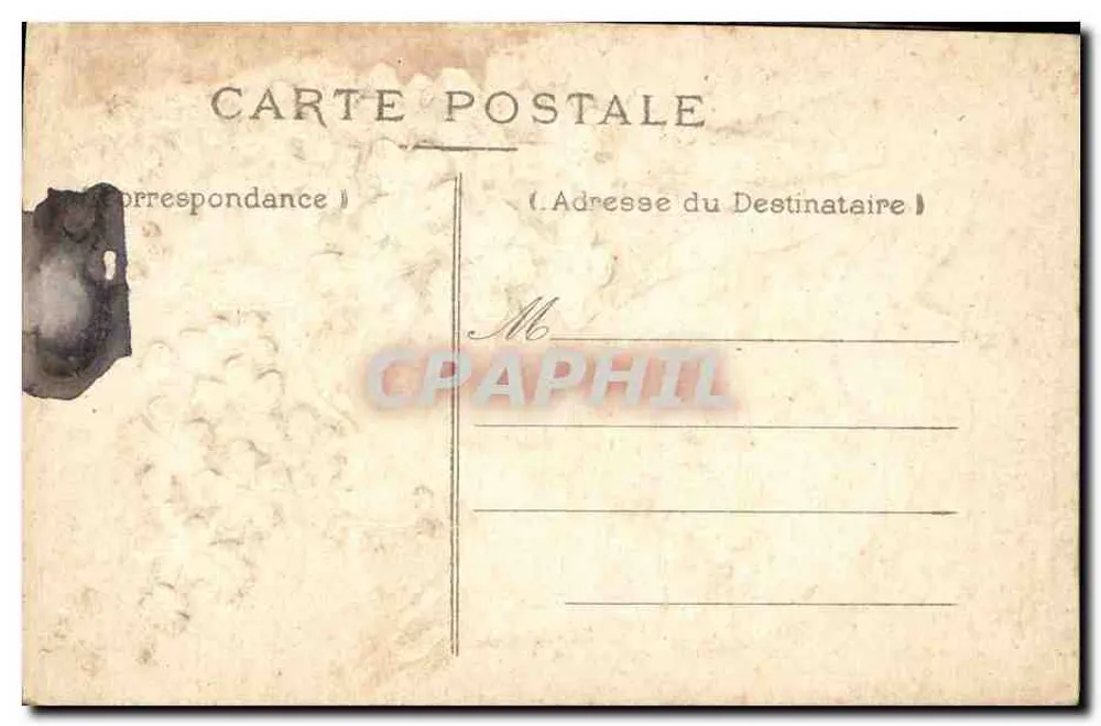 Flores azuis — paisagem rural — cartão postal - Verso