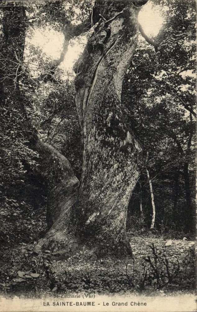 La Sainte-Baume - Le Grand Chêne — St-Zacharie (Var) - Vorderseite