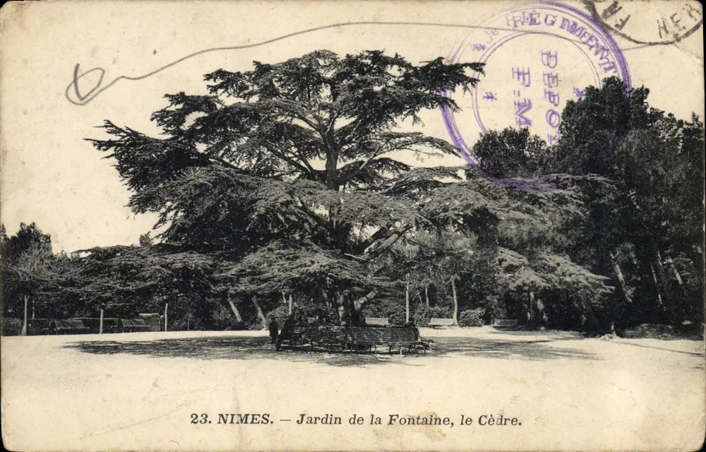 Nîmes — Garten der Fontaine, der Zeder — Verlag: Phototypie d'Art et d'Industrie du Sud-Ouest - Vorderseite