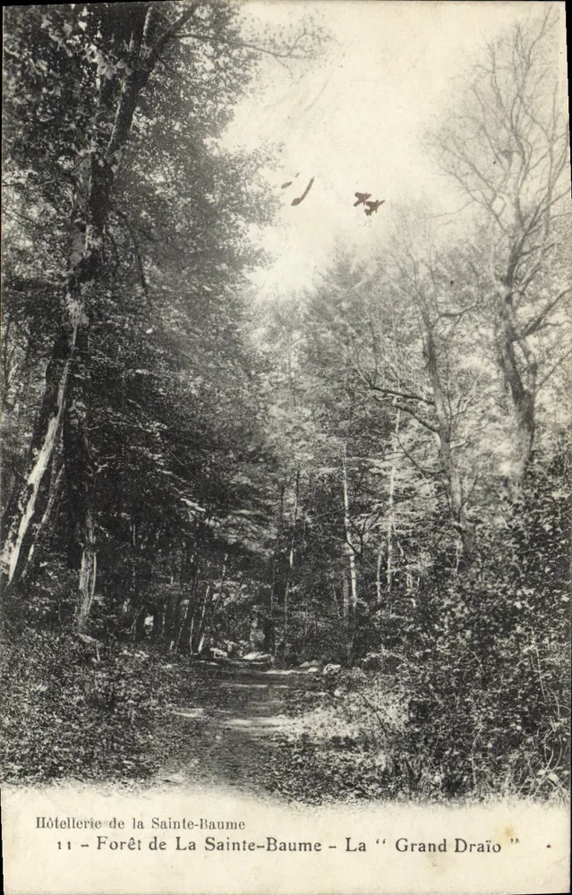 Wald von La Sainte-Baume — Der « Grand Draïo » — Hotel de la Sainte-Baume, n°11 - Vorderseite