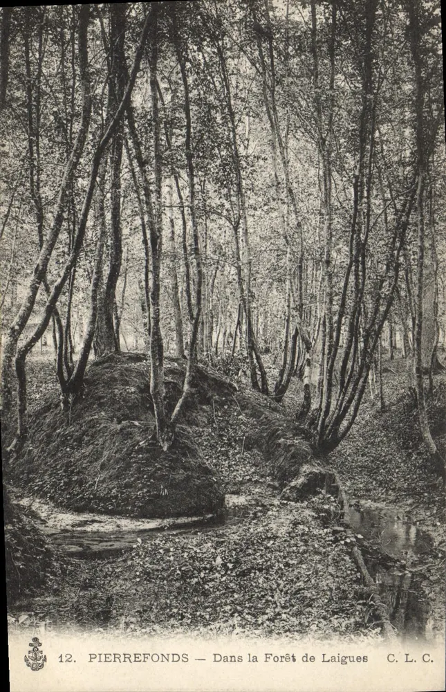 PierreFonds — Na Floresta de Laigues — C.L.C. n°12 - Frente
