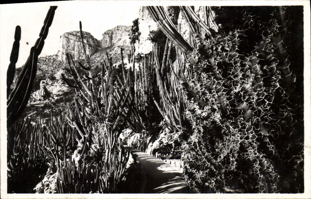Monaco — Die exotischen Gärten. Euphorben und Cereus-Varianten — Éditions Cigogné - Vorderseite