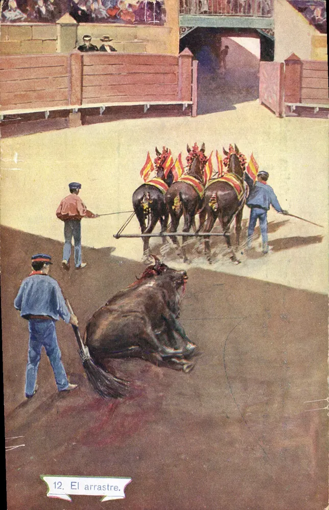 Arrastre — espetáculo de touro puxado por cavalos — série 1059, n°12 - Frente