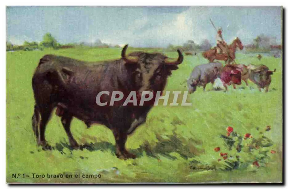Wildbulle im Feld — Nr. 1 — Verlag R. Union A.A. S. BARCELONA - Vorderseite