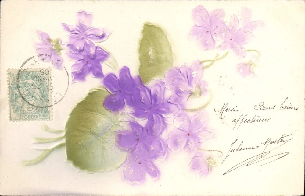 Fleurs violettes — illustration décorative — éditeur non visible - Frente