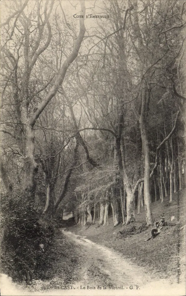 O Bois de la Vieuville — Saint-Cast — G. F. — n° 919 - Frente