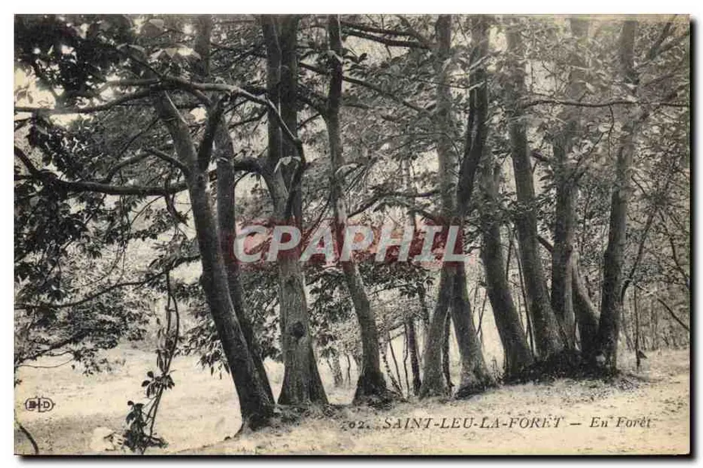 Saint-Leu-la-Forêt — W lesie — n°602 - Awers