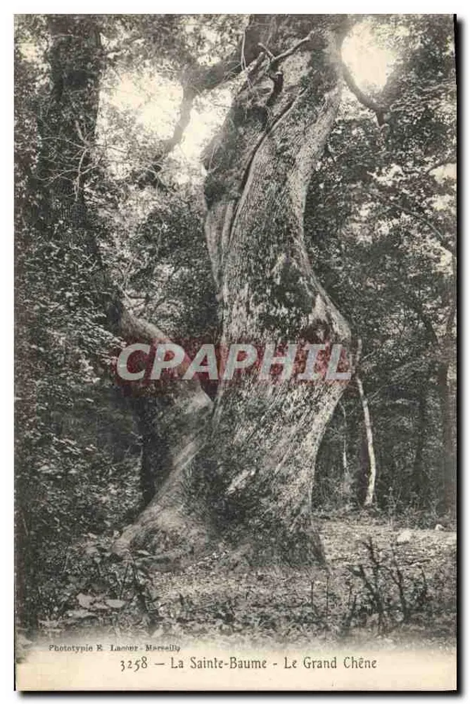La Sainte-Baume — Le Grand Chêne — Phototypie E. Lascour - Marsilly, n° 3258 - Vorderseite