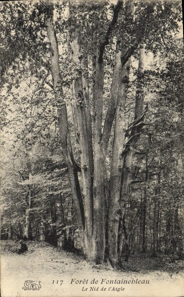 Forêt de Fontainebleau — Der Adlerhorst — Verleger C. R. Nr. 117 - Vorderseite