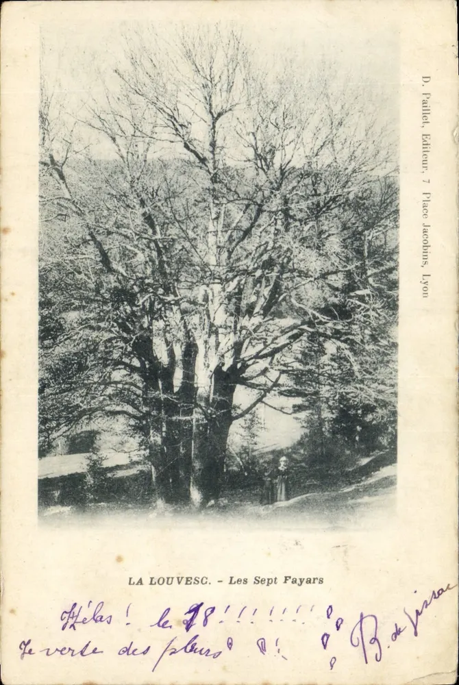 LA LOUVESC - Les Sept Fayars — grand arbre dénudé, éditeur D. Pallet, 7 Place Jacobins, Lyon - Vorderseite