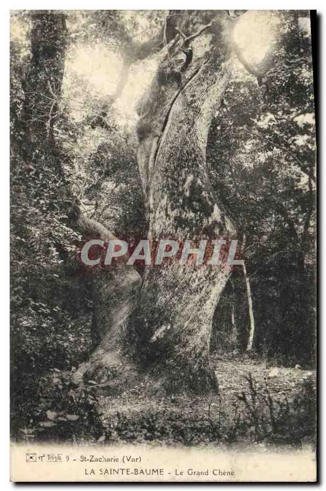 La Sainte-Baume - Der große Eichenbaum — St-Zacharie (Var) - Vorderseite