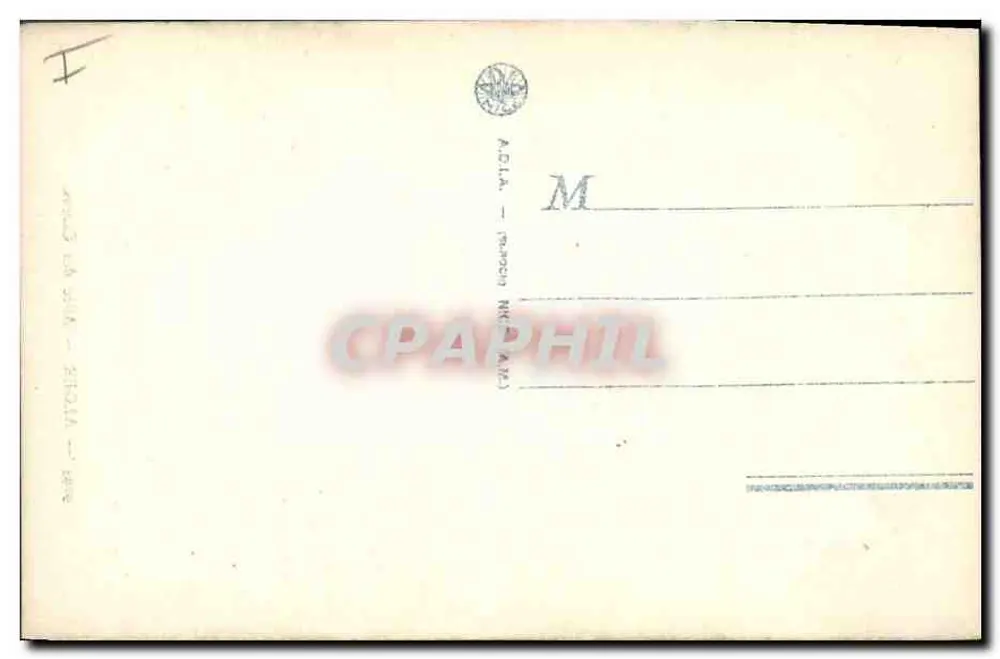 अल्जीरिया — कैक्टस के बगीचा — 9095 - पीछे