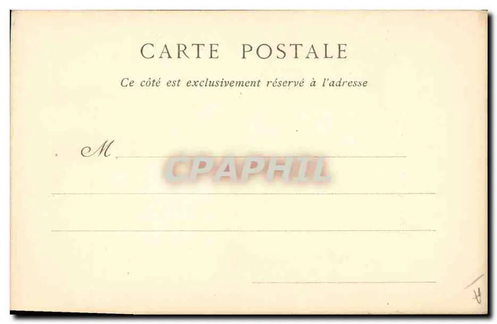 Foglia di arancio — ND Phot — n° 559 - Verso