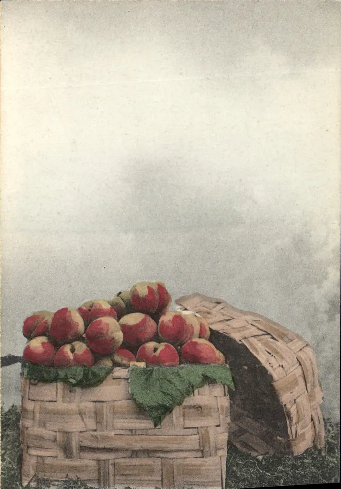 Pere in een mandje — Franse Uitgeverij D.L. — n° 141 - Voorkant