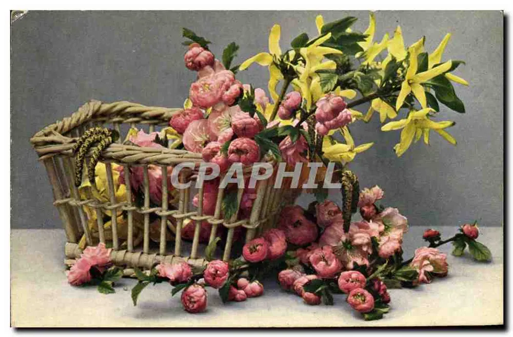 Bukiet kwiatów — Forsythia suspensa, Prunus triloba, Alnus glutinosa — wydawca Römmeler & Jons, seria Flora 14 - Awers