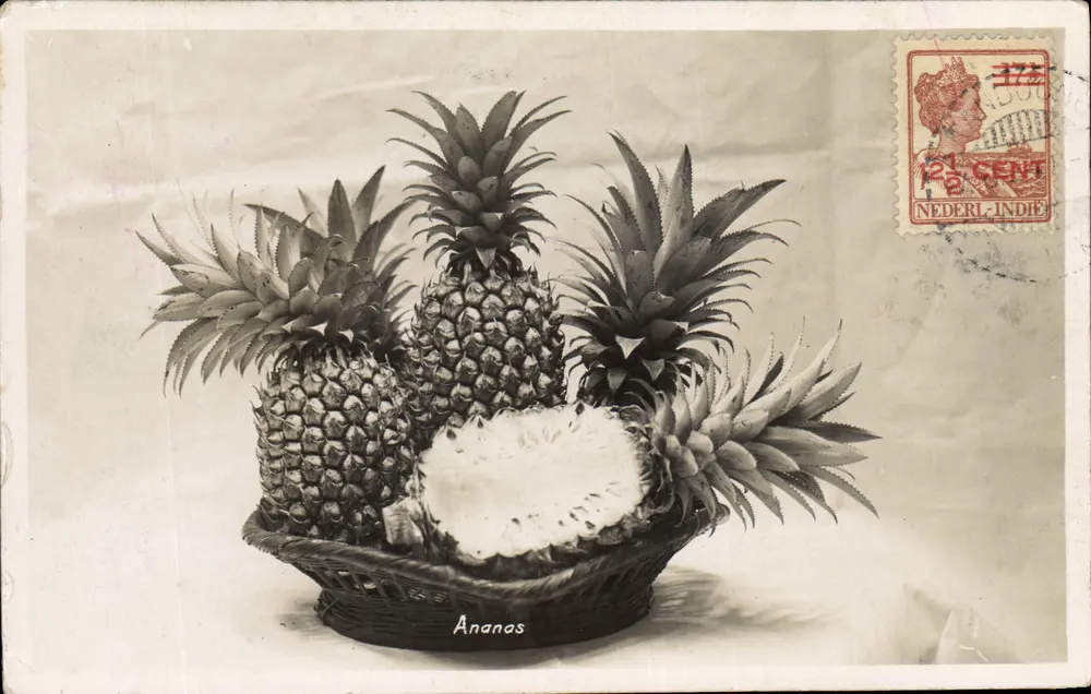 Ananas — Niederländische Ostindien — unbekannter Verlag, Seriennummer nicht sichtbar - Vorderseite