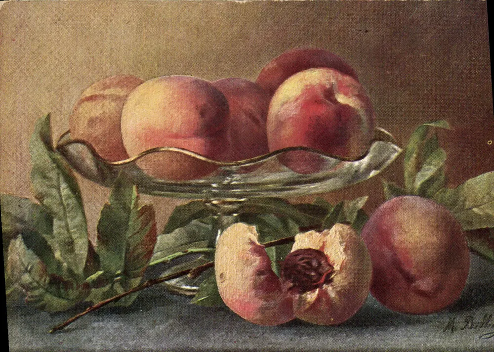 Nature morte de pêches — M.B.H. — editora T.S.N. série 877 - Frente