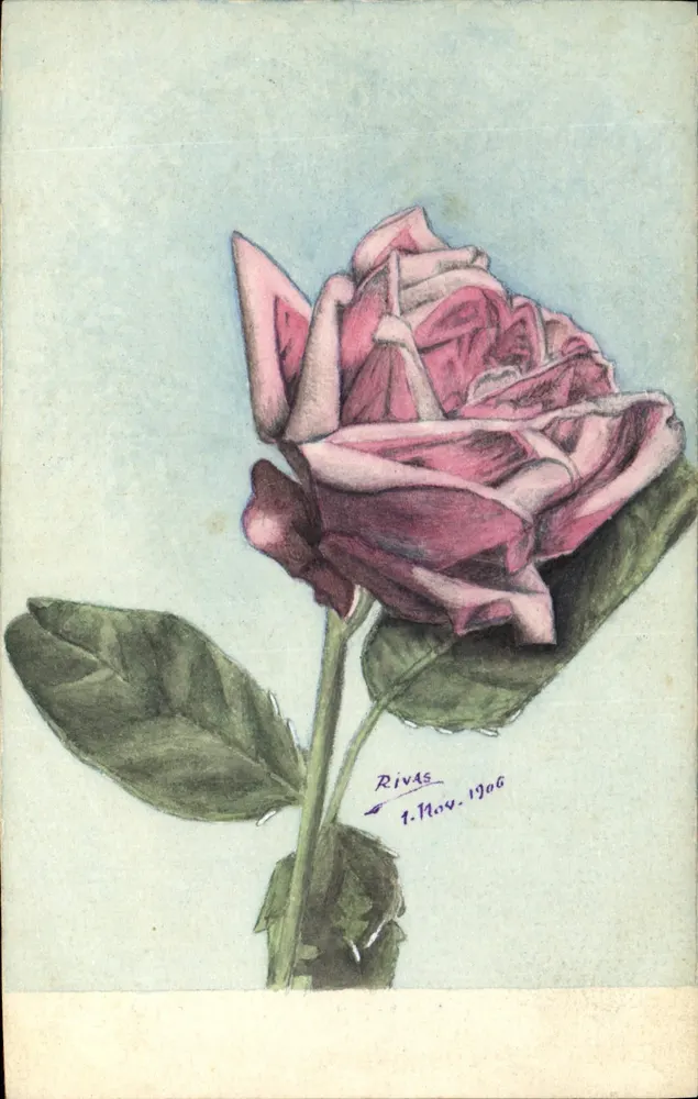 Rosas — desenho aquarelado — Rivas, assinado e datado 1º nov. 1906 - Frente