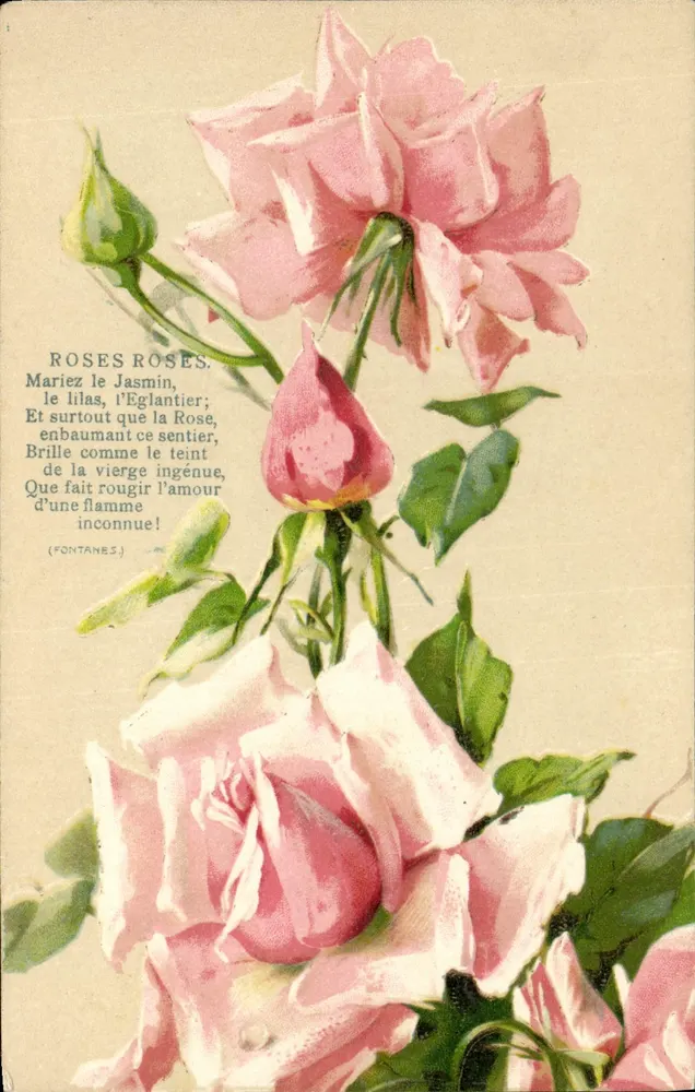 Rode rozen — gedicht van Fontanes — K. F. Uitgevers, Parijs, serie 635 - Voorkant