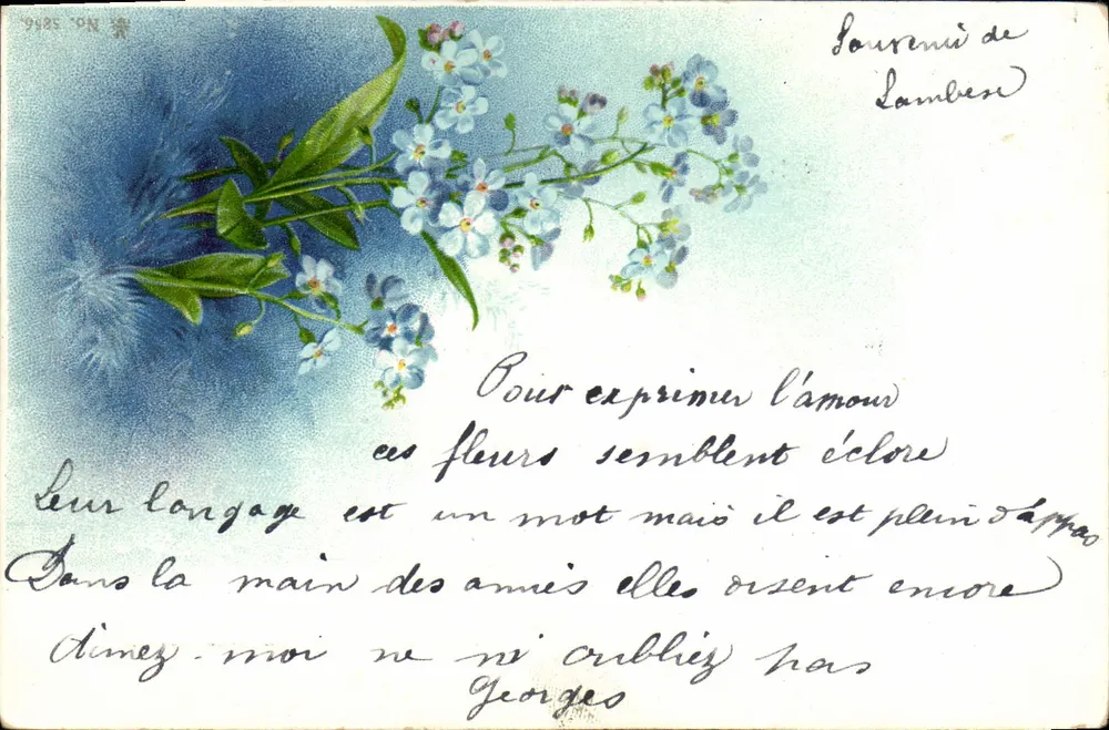 Blauwe bloemen — liefdesgedicht — uitgever N° 9985 - Voorkant