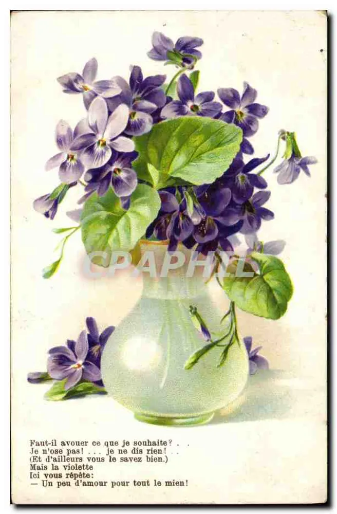 Violeta em um vaso — poema impresso — K.F. CULTURES PARIS, SÉRIE 703 - Frente