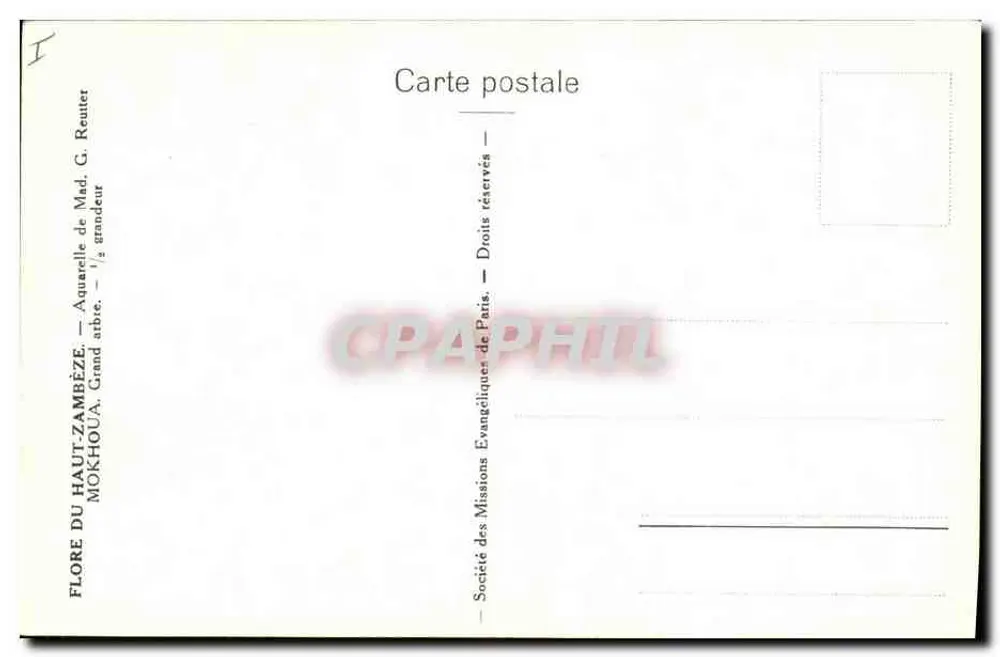 Flore du Haut-Zambèze — Arbre à fruits rouges — Société des Missions Évangéliques de Paris - Verso
