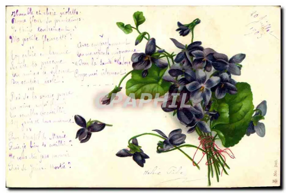 Violetas — buquê preso por um laço vermelho — editor Helène Pile, n° 240 - Frente