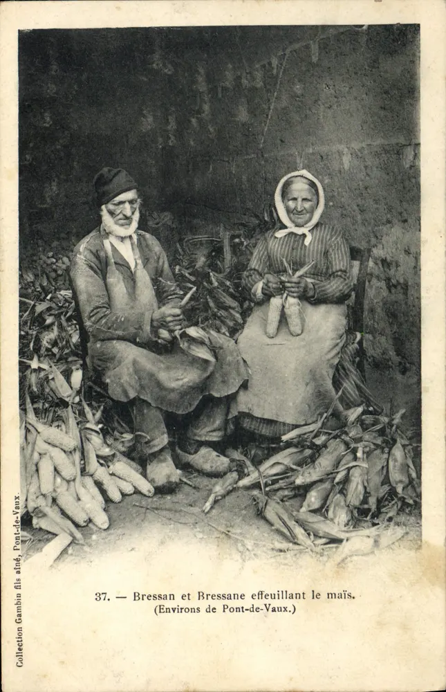 Bressan und Bressane, die Mais ernten — Nahe Pont-de-Vaux — Sammlung Gambin fils, n°37 - Vorderseite