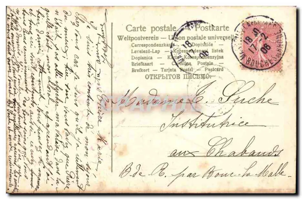 Blühendes Boot — Zärtliches Andenken — Universelle Ansichtskarte - Rückseite