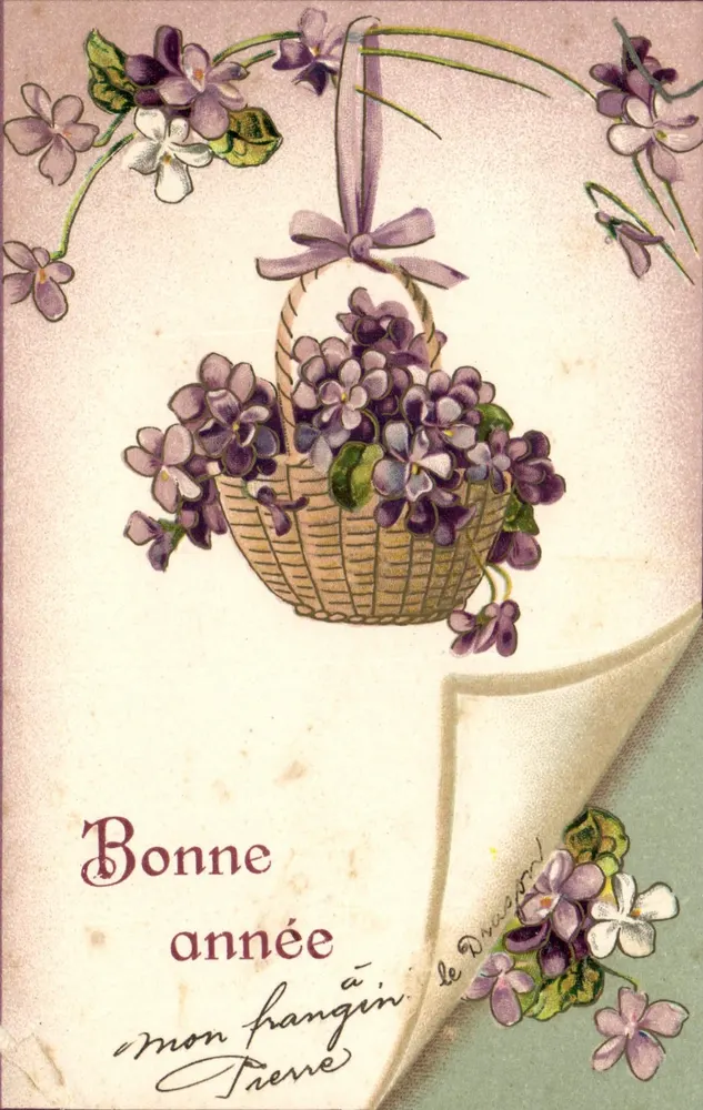 Bouquet de violettes dans un panier — Bonne année à mon frangin — éditeur non visible - Frente