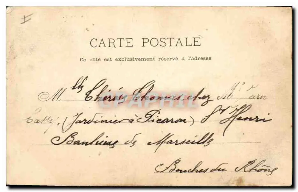 Die Monts des Maures — Eine Eicheforst — P. HÉLMLINGER & Cie, IMP. PHOT. NANCY - Rückseite